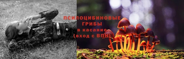 прущий лед Абаза