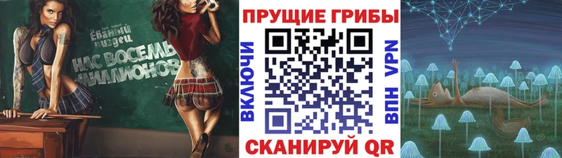 цены наркотик  Абаза  Псилоцибиновые грибы Magic Shrooms 