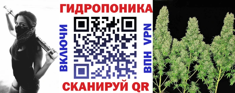 OMG вход  Абаза  МАРИХУАНА LSD WEED 